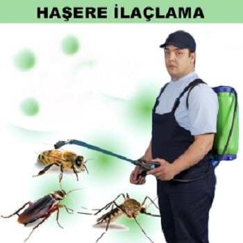 Gümüşova Böcek İlaçlama